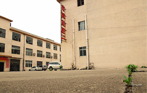 “論實力說話”專業(yè)硅膠制品廠家！